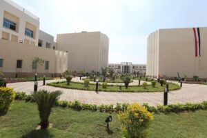 جامعة حكومية مصرية