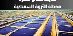 مدينة سلام مصر: محطة الثروة السمكية